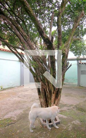 Casa à venda com 430m², 3 quartos e 3 vagasVaranda frontal
