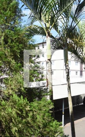 Apartamento para alugar com 65m², 3 quartos e 1 vagaVista