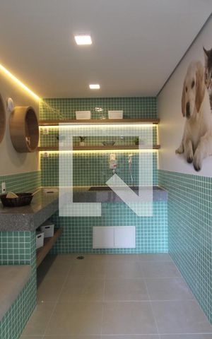 Apartamento para alugar com 34m², 2 quartos e sem vagaSala para banho de pets