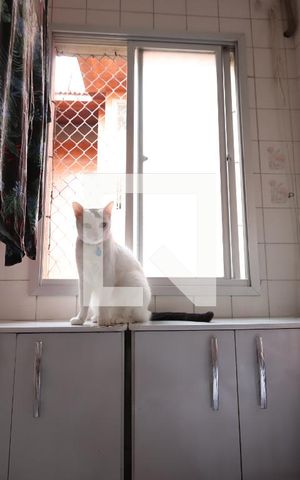 Apartamento à venda com 69m², 3 quartos e 2 vagasLavanderia