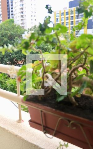 Apartamento à venda com 98m², 3 quartos e 2 vagasSuíte