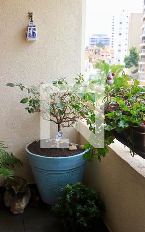 Apartamento à venda com 98m², 3 quartos e 2 vagasSacada