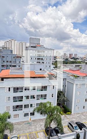 Apartamento à venda com 52m², 2 quartos e 1 vaga Apartamento à venda com 52m², 2 quartos e 1 vagaVista Quarto 1
