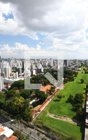 Apartamento à venda com 217m², 3 quartos e 3 vagasSala - Vista