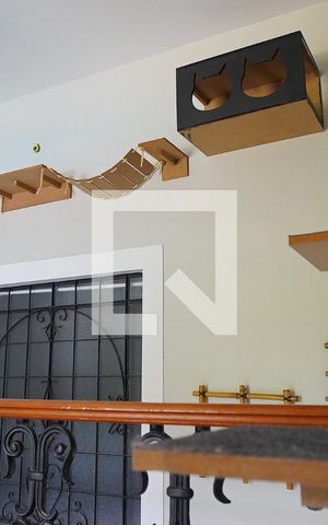 Casa de condomínio para alugar com 1000m², 3 quartos e 4 vagasParkour para os gatinhos