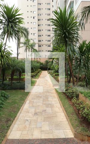 Apartamento para alugar com 79m², 2 quartos e 2 vagasÁrea comum