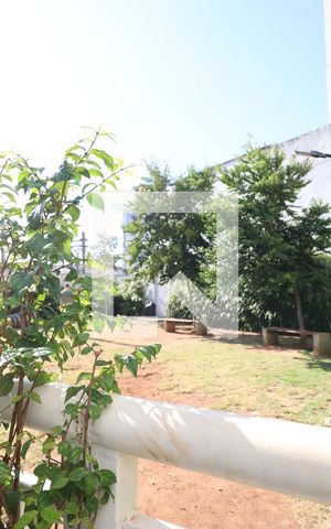 Apartamento para alugar com 27m², 1 quarto e sem vagaEspaço Pet