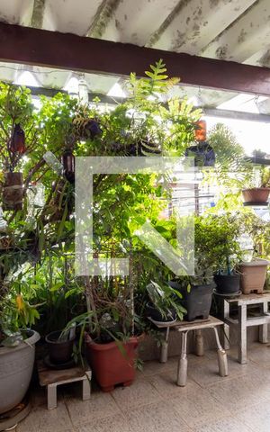 Casa à venda com 300m², 3 quartos e 3 vagasQuintal / Varanda