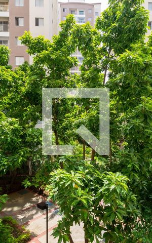 Apartamento à venda com 62m², 3 quartos e 1 vagaVista - Varanda