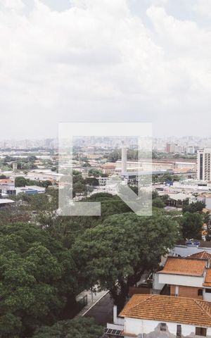 Apartamento para alugar com 519m², 5 quartos e 2 vagas Apartamento para alugar com 519m², 5 quartos e 2 vagasVista da Suíte 2