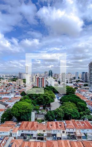 Apartamento à venda com 375m², 4 quartos e 4 vagasVista da Varanda
