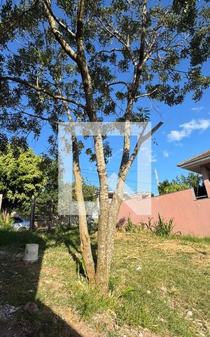 Casa à venda com 350m², 3 quartos e sem vaga