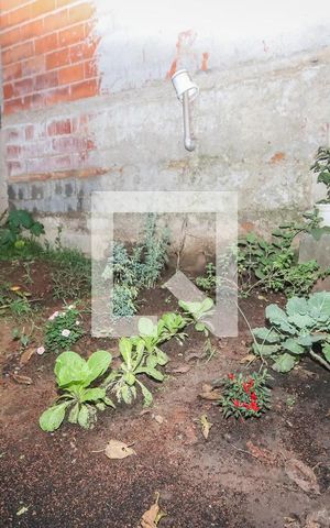 Apartamento para alugar com 68m², 1 quarto e 1 vaga Apartamento para alugar com 68m², 1 quarto e 1 vagaHorta