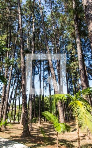 Casa de condomínio à venda com 849m², 4 quartos e 6 vagasÁrea comum