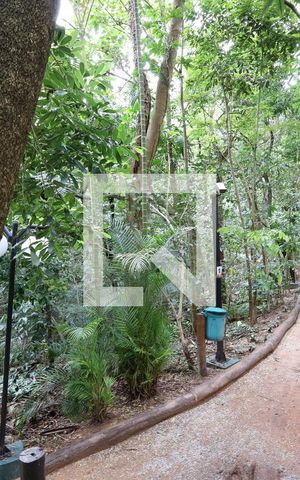 Apartamento à venda com 288m², 4 quartos e 4 vagasÁrea comum / Bosque