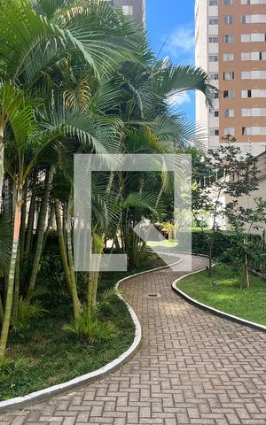 Apartamento para alugar com 44m², 2 quartos e sem vaga Apartamento para alugar com 44m², 2 quartos e sem vagaÁrea comum