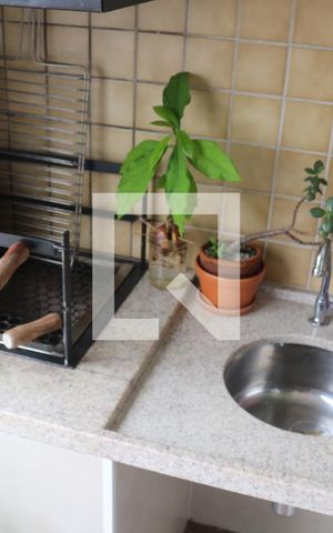 Apartamento à venda com 62m², 2 quartos e 1 vagaVaranda
