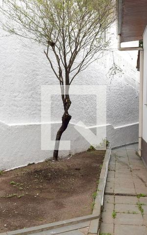 Casa à venda com 300m², 3 quartos e 4 vagasQuintal