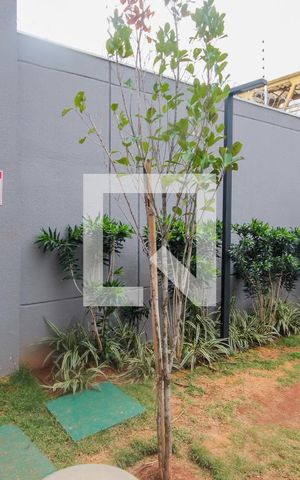Apartamento à venda com 55m², 2 quartos e 1 vagaarea pet