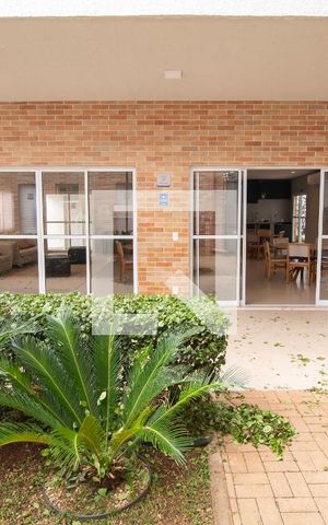 Apartamento para alugar com 55m², 2 quartos e 1 vagaÁrea Comum - Salão de Festas