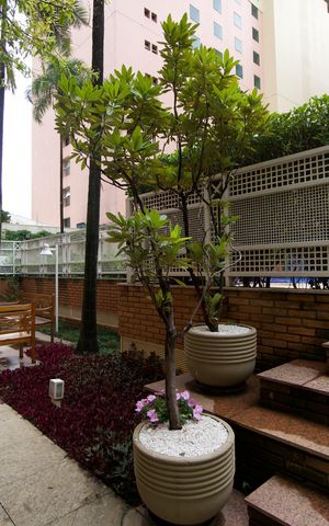 Apartamento para alugar com 65m², 1 quarto e 2 vagas Apartamento para alugar com 65m², 1 quarto e 2 vagasÁrea comum