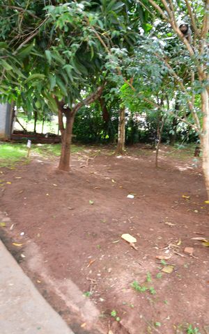 Apartamento para alugar com 72m², 3 quartos e 1 vagaÁrea comum