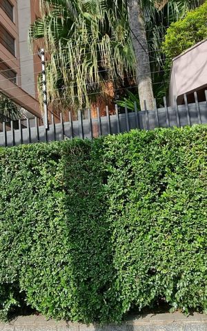 Apartamento à venda com 360m², 2 quartos e 4 vagas Apartamento à venda com 360m², 2 quartos e 4 vagasFachada