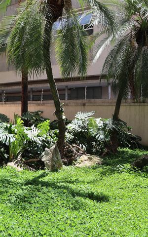 Apartamento à venda com 155m², 3 quartos e 1 vagaÁrea Comum