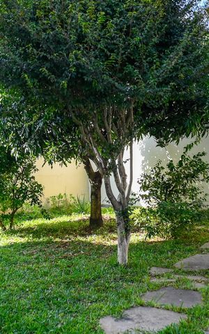 Casa à venda com 300m², 4 quartos e 3 vagas Casa à venda com 300m², 4 quartos e 3 vagasQuintal