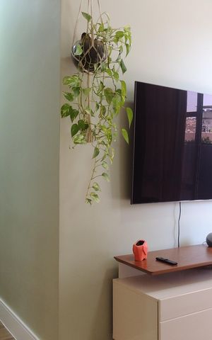 Apartamento para alugar com 84m², 2 quartos e 1 vagaSala