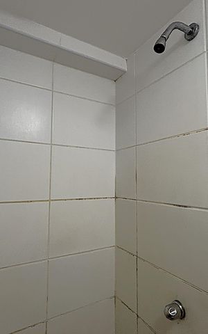 Apartamento à venda com 51m², 2 quartos e 1 vagaBanheiro da Suíte