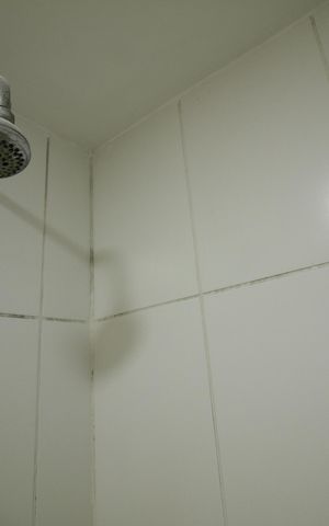Apartamento à venda com 60m², 2 quartos e 1 vagaBanheiro da Suíte 
