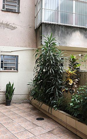 Apartamento à venda com 45m², 2 quartos e sem vagaÁrea externa