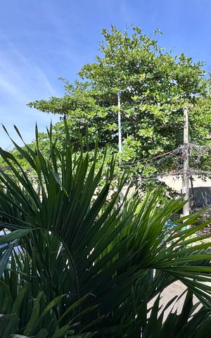 Casa para alugar com 80m², 2 quartos e 1 vagaVaranda - Vista