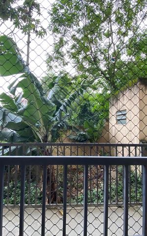 Apartamento para alugar com 64m², 2 quartos e 1 vaga Apartamento para alugar com 64m², 2 quartos e 1 vagaVista da sacada