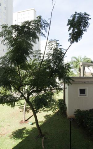 Apartamento para alugar com 43m², 2 quartos e sem vagaVista quarto