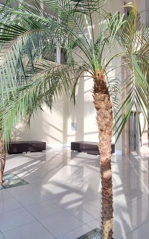 Apartamento à venda com 187m², 3 quartos e 3 vagas Apartamento à venda com 187m², 3 quartos e 3 vagasÁrea comum
