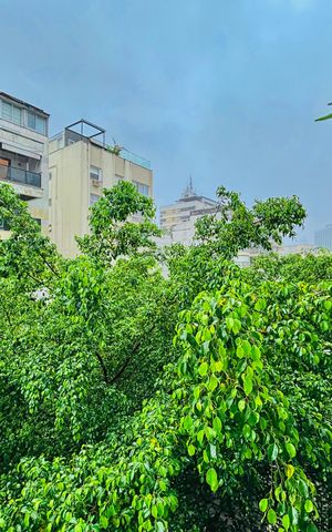 Apartamento para alugar com 50m², 1 quarto e 1 vaga