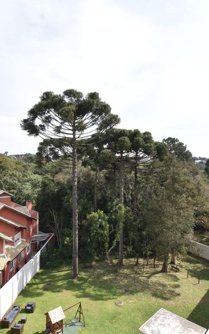 Apartamento à venda com 88m², 3 quartos e 1 vagaVista da Sacada