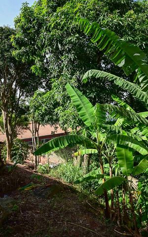 Casa à venda com 95m², 3 quartos e 6 vagasPomar