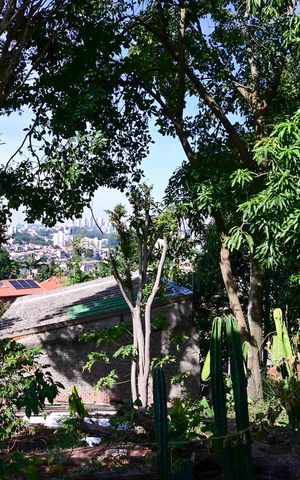 Casa à venda com 95m², 3 quartos e 6 vagasPomar