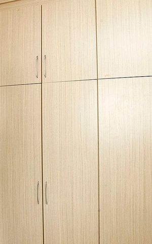 Apartamento para alugar com 65m², 2 quartos e sem vagaCozinha 