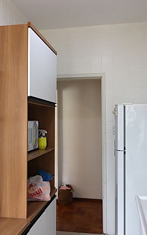 Apartamento para alugar com 84m², 2 quartos e sem vagaCozinha
