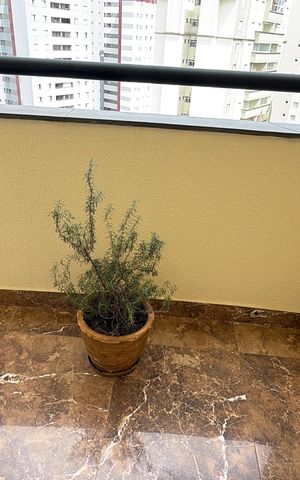 Apartamento para alugar com 93m², 3 quartos e 1 vagaVaranda