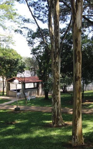 Apartamento à venda com 182m², 3 quartos e 3 vagasÁrea comum