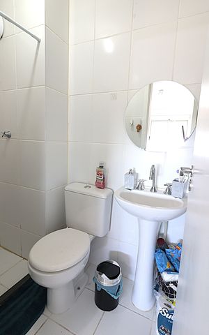 Apartamento à venda com 51m², 2 quartos e 1 vagaBanheiro da Suíte