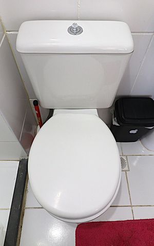 Apartamento à venda com 51m², 2 quartos e 1 vagaBanheiro Social
