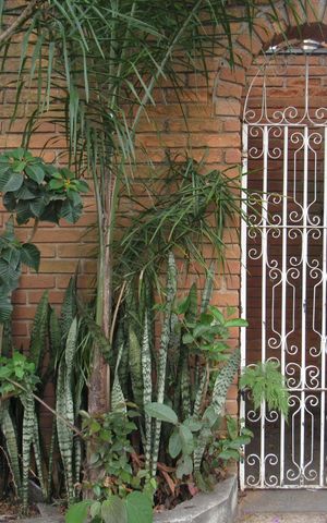 Casa para alugar com 500m², 3 quartos e 5 vagasFachada
