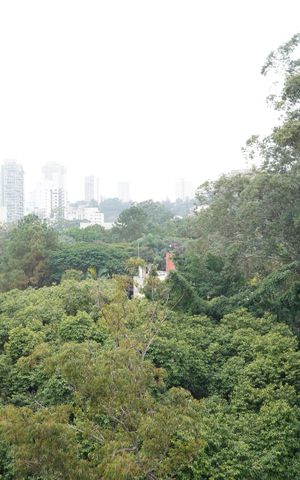 Apartamento para alugar com 200m², 3 quartos e 2 vagasVista da Suíte