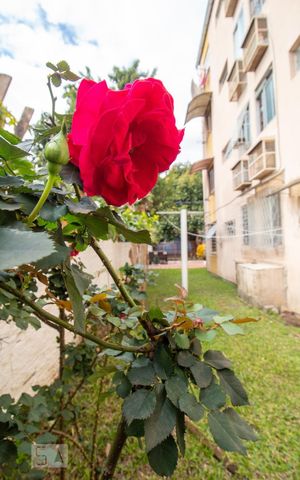 Apartamento à venda com 42m², 1 quarto e sem vaga Apartamento à venda com 42m², 1 quarto e sem vagaÁrea comum